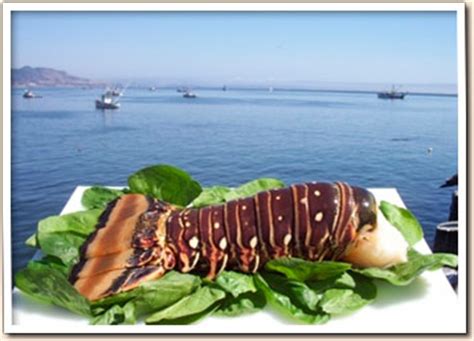 Check spelling or type a new query. Olde Port Fish | Local Central Coast Seafood in Port San Luis
