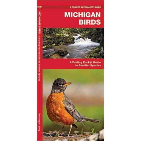 Pocket Naturalist Guides Michigan Birds A Folding Pocket Guide To