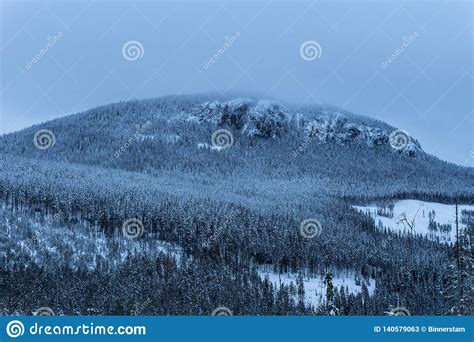 Winter View Of A Large Mountain In Sweden Covered With Pine Trees Stock