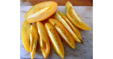 Graines De Tomate Orange Banana Variété Ancienne