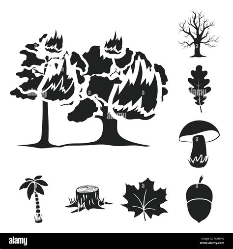 Forest And Nature Black Icons In Set Collection For Design Forest Life