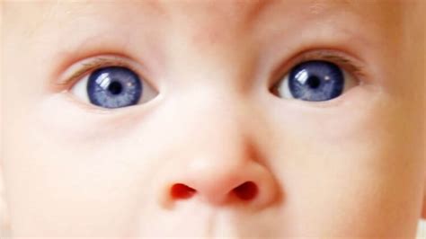 56 Hq Pictures Baby Hair And Eye Color Predictor Real Eye Color Chart