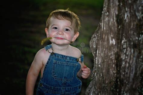Happy Boy Holding Wheat In His Mouth With Overalls On Stock Image