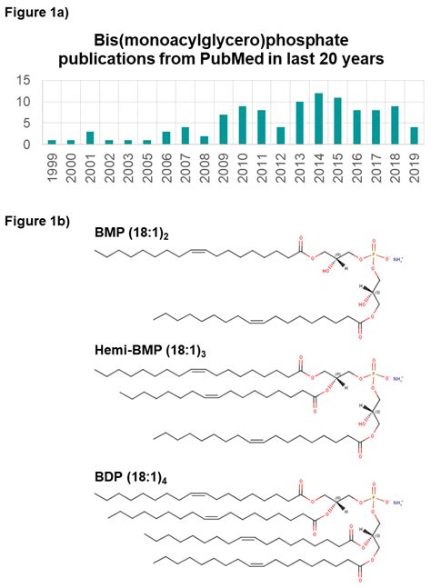 Ijms Free Full Text The Emerging And Diverse Roles Of Bis