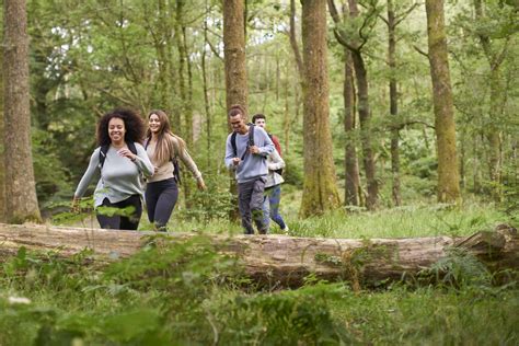 A Multi Ethnic Group Of Five Young Adult Friends Walking In A Forest