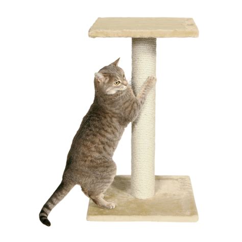 Trixie Pet Products Parla Scratching Post Pet Supplies Beds And Furniture