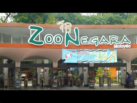The national zoo is situated 13 km from the centre of kuala lumpur. Zoo Negara Kuala Lumpur, Malaysia - YouTube
