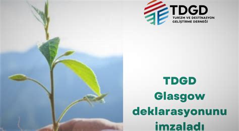 Birleşmiş Milletler TDGDyi resmi ortak olarak kabul etti TDGD