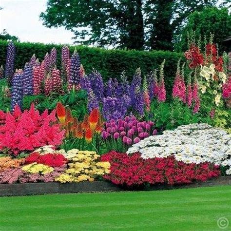 Famous Best Perennial Garden Plants 2023