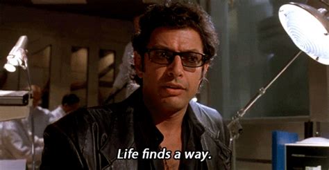 Jurassic Park Life Finds A Way GIF Find Share On GIPHY