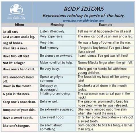 Body Idioms Vocabulary In English Vocabulary Home