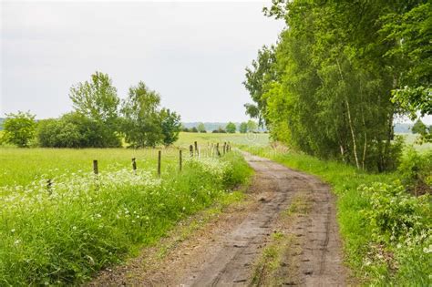 Amazing Landscape With Dirt Road Between Green Fields Stock Image