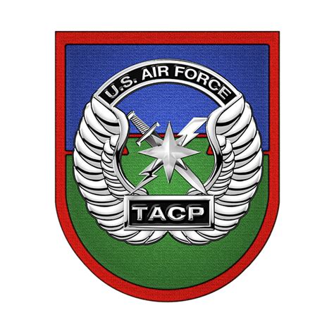 U S Air Force Tactical Air Control Party T A C P Beret Flash With