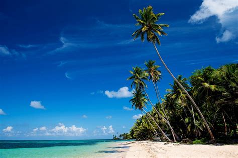 1131072 sunlight landscape sea bay nature shore sky beach coast palm trees horizon