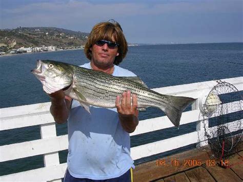Striper Malibu Pier Fishing In California