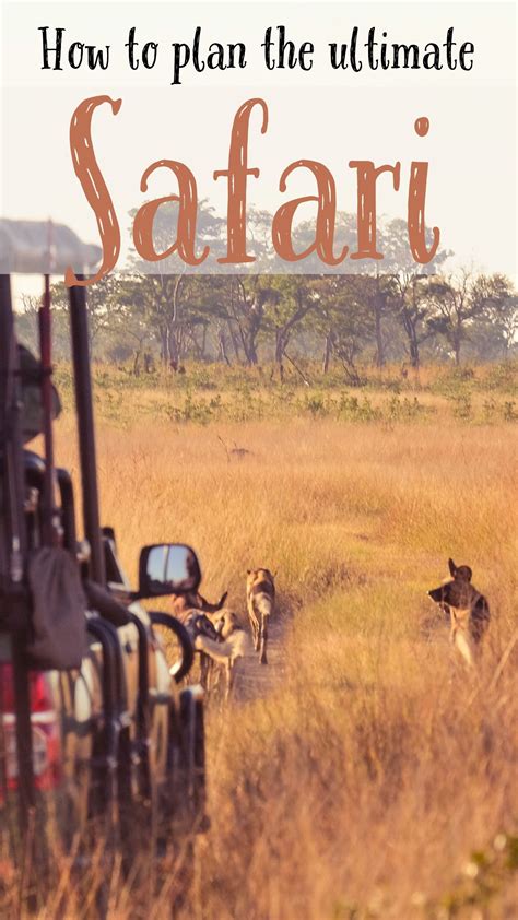 Tips For How To Plan Your Very Own African Safari This Guide Will Get