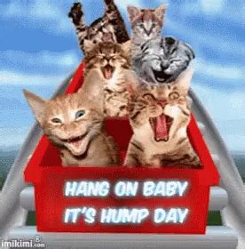 Happy Wednesday Hump Day Gif Happywednesday Humpday Discover
