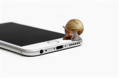 Ansonsten kann ich dir das iphone 11 oder 11 pro sehr empfehlen. 【Gelöst】iOS 11 macht die Tastatur des iPhones langsamer?