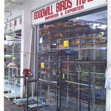 Delivering products from abroad is always free, however, your parcel may be subject to vat, customs duties or. Goodwill Birds - Pet Stores - Hougang, Serangoon Gardens ...
