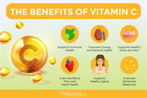 5 Ways To Increase Vitamin C Levels 4 Is Powerful