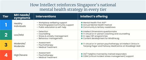 How Intellect reinforces Singapore's national mental health strategy in