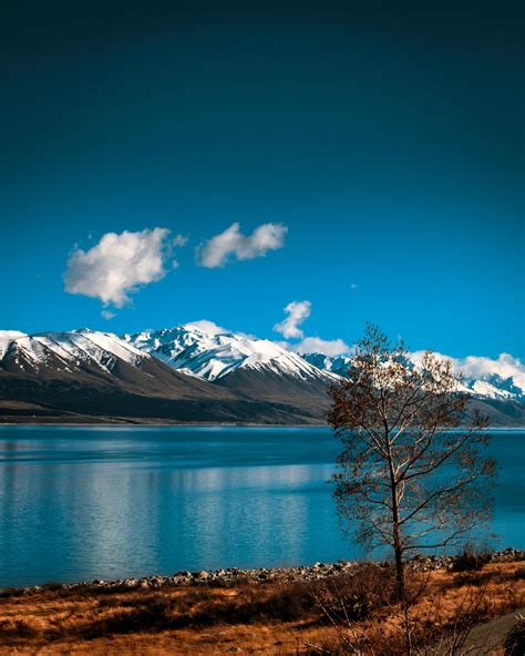 The Watchman - Lake Pukaki, New Zealand [OC] [4000x5000] : EarthPorn