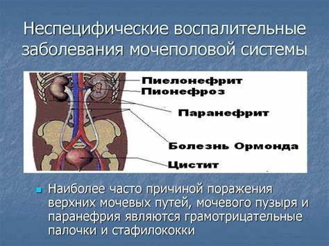 Диета после операции удаления яичников