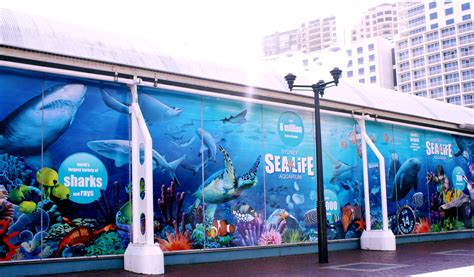 Sea Life Sydney Aquarium Swadlink Brand Design