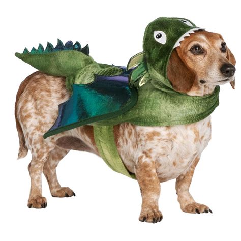 Dragon Dog Costumes Our 8 Favorite Dragon Costumes For Halloween