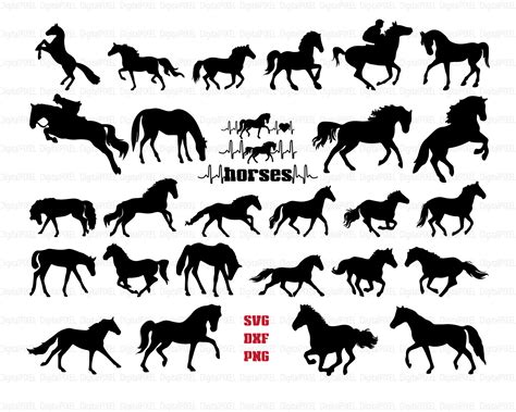 Horse Silhouette Horse Bundle Svg Horse Clipart Horse Cut File Horse