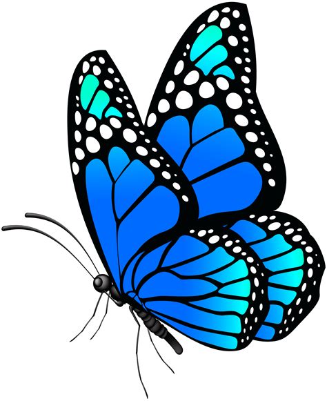 Monarch Butterfly Clipart Free Download Clip Art Library
