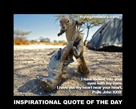 Crazy Animals Motivational Quotes Quotesgram