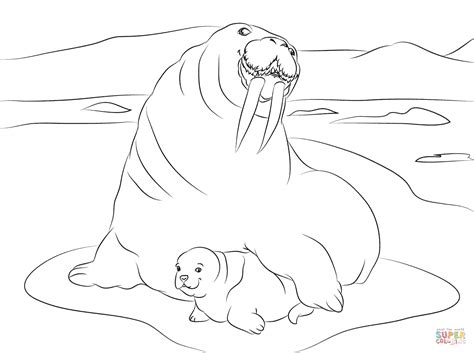 Find high quality walrus coloring page, all coloring page images can be downloaded for free for personal use only. Walrus with Cute Baby coloring page | Free Printable ...