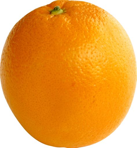 Big Ripe Orange Png Image Transparent Image Download Size 1315x1416px