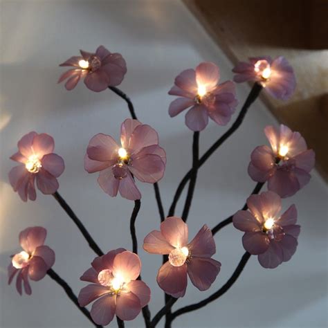 For outdoor growers in cold climates, it's important to make sure you grow a strain that is matched up with your local weather, so that plants are ready for harvest before temperatures drop. 60cm Indoor Battery Flower Lights with Vase and Timer ...