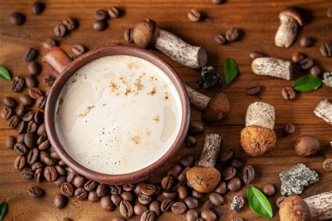 The Beginners Guide To Mushroom Coffee A Fungus Among Us Chattersource