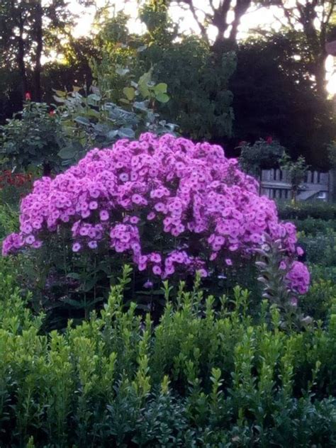 Viel komfort und vor allem viel, viel ruhe. GARDEN -BAD BIRNBACH-GERMANY