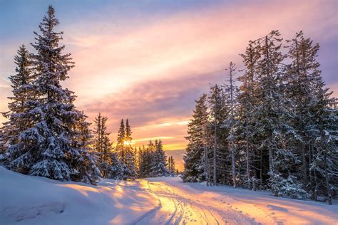 Winter Road At Sunset Hd Wallpaper Background Image