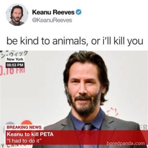 30 Of The Most Wholesome Keanu Reeves Memes Demilked