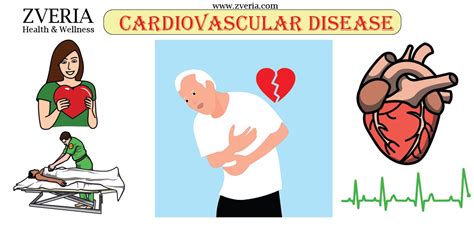 Zveria Cardiovascular Disease Types Causes Symptoms