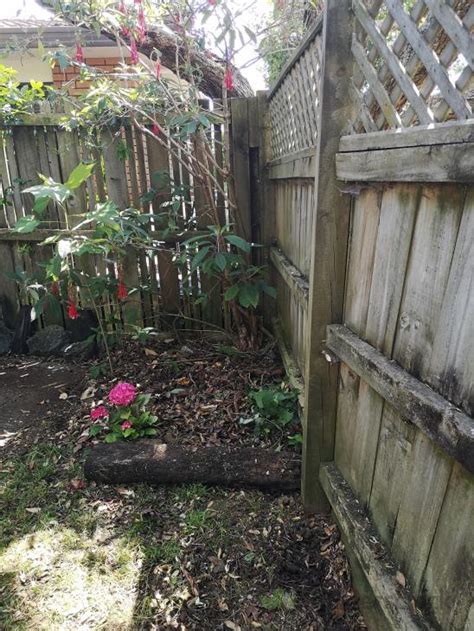 Maybe you would like to learn more about one of these? Repair bent fence (# 433399) | Builderscrack