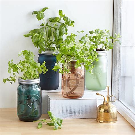 Mason Jar Indoor Herb Garden Grow Your Own Herbs