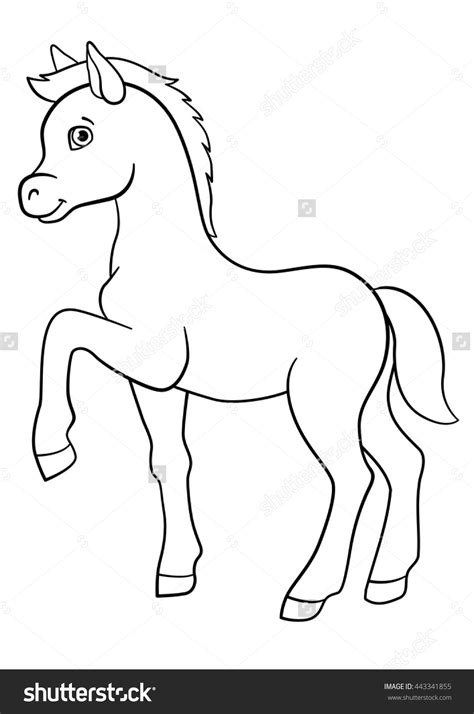 Foal Clipart Black And White 10 Free Cliparts Download Images On