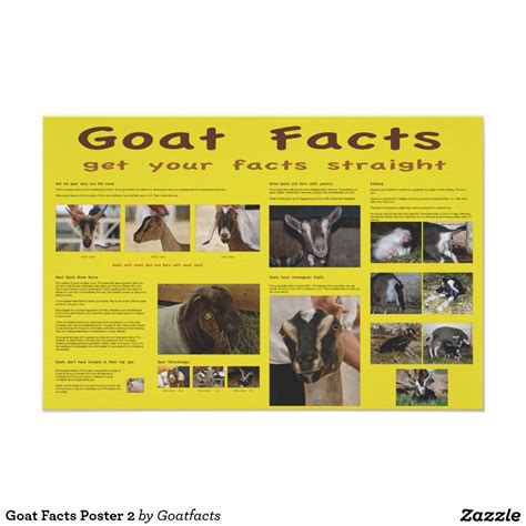 Goat Facts Poster 2 Zazzle Personalized Prints Custom Posters Poster