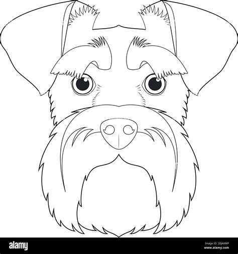 Schnauzer Dog Easy Coloring Cartoon Vector Illustration Isolated On