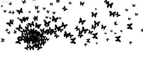 Black And White Butterfly Wallpaper