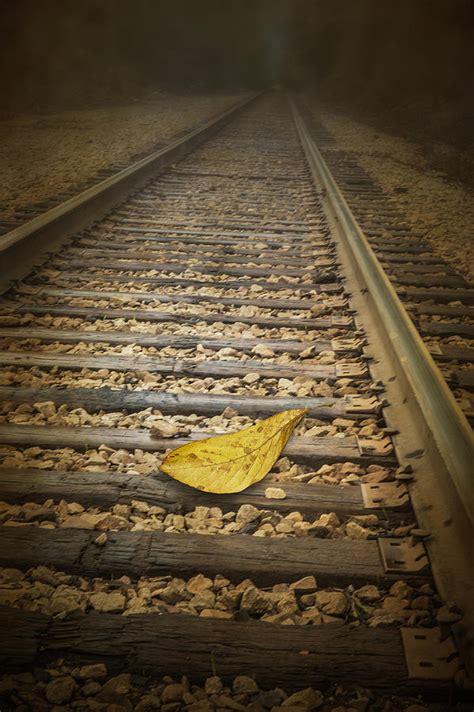 Fallen Yellow Autumn Leaf On The Railroad Tracks Photograph By Randall