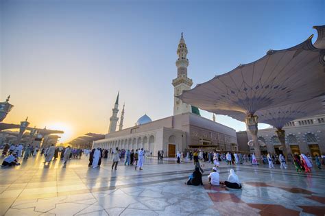 Includes reader forum and photo gallery. Saudi Arabia Tours and Holidays | Wild Frontiers