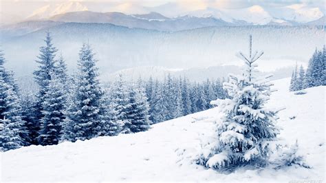 60 Free Winter Pictures Wallpaper