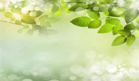Eco Nature Green And Blue Abstract Defocused Background Stock Photo By